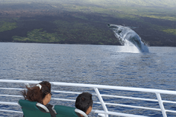 a group of people in front of a body of water
